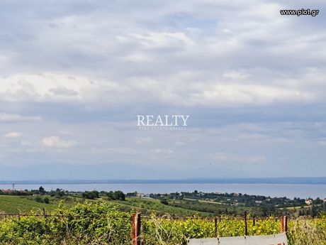 Land plot 4.500sqm for sale-Thermaikos » Neoi Epivates