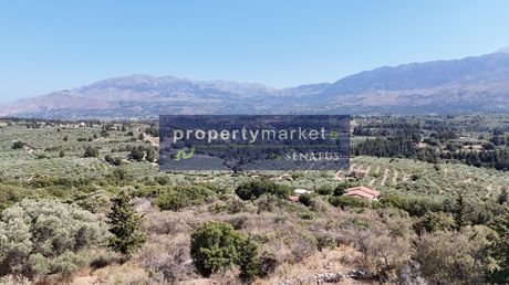 Οικόπεδο 4.909τ.μ. για πώληση-Βάμος » Κάινα
