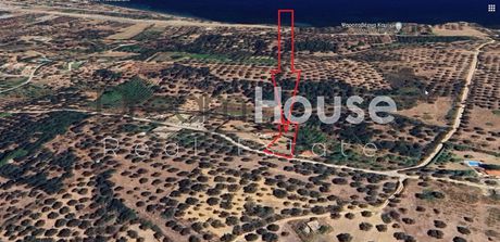 Land plot 1.450sqm for sale-Dytikis Achaias » Alissos