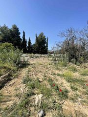 Οικόπεδο 333 τ.μ. για πώληση, Μαγνησία, Βόλος-thumb-3