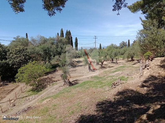 Οικόπεδο 2.876 τ.μ. για πώληση, Ν. Κέρκυρας, Κέρκυρα