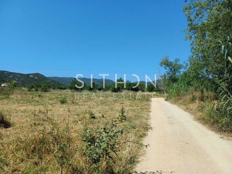 Αγροτεμάχια 5.902 τ.μ. προς πώληση, Συκιά Τορώνης