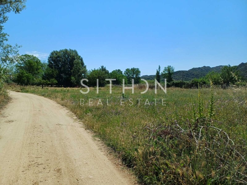 Αγροτεμάχια 5.902 τ.μ. προς πώληση, Συκιά Τορώνης