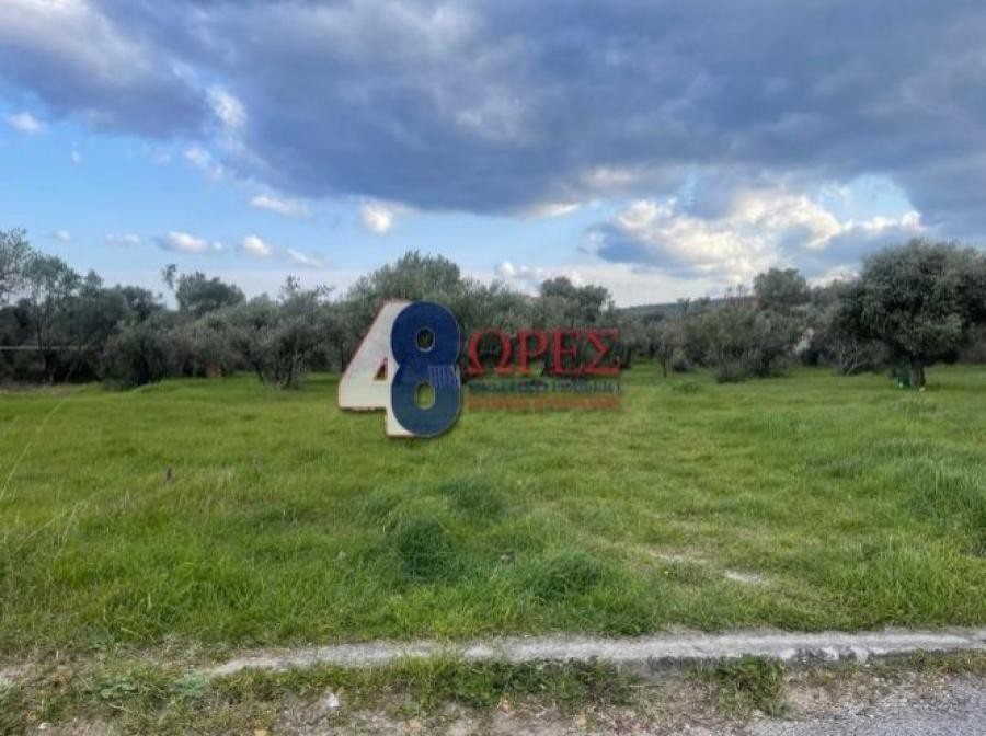 Οικόπεδο 1.034 τ.μ. προς πώληση, Άγιος Μηνάς Χίου