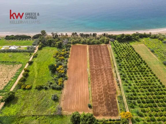 Land plot 14.080 sqm for sale, Argolis, Asini