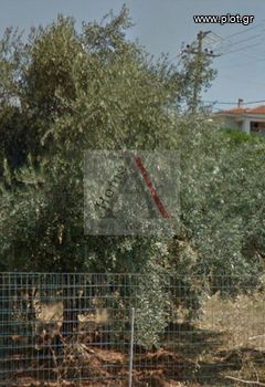 Οικόπεδο 206 τ.μ. για πώληση