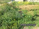 Land plot 486sqm for sale-Vari - Varkiza » Varkiza