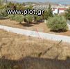 Land plot 800sqm for sale-Vari - Varkiza » Miladeza