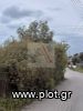 Land plot 1.680sqm for sale-Vari - Varkiza » Asirmatos Alianthou