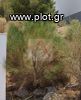 Land plot 367sqm for sale-Voula » Panorama