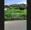 Parcel 5.000sqm for sale-Oropos » Nea Politeia