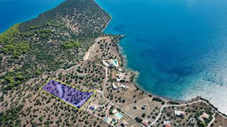 Αγροτεμάχια 5.432 τ.μ. για πώληση, Αργολίδα, Ερμιόνη-thumb-1