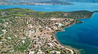 Αγροτεμάχια 5.432 τ.μ. για πώληση, Αργολίδα, Ερμιόνη-thumb-19