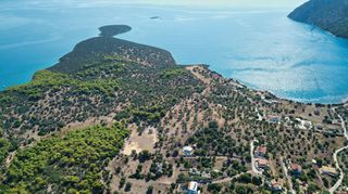 Αγροτεμάχια 5.432 τ.μ. για πώληση, Αργολίδα, Ερμιόνη-thumb-20