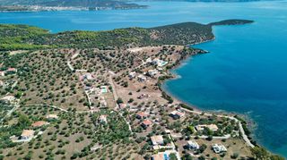 Αγροτεμάχια 5.432 τ.μ. για πώληση, Αργολίδα, Ερμιόνη-thumb-21