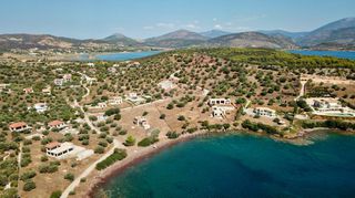 Αγροτεμάχια 5.432 τ.μ. για πώληση, Αργολίδα, Ερμιόνη-thumb-7