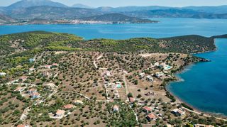 Αγροτεμάχια 5.432 τ.μ. για πώληση, Αργολίδα, Ερμιόνη-thumb-13