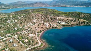 Αγροτεμάχια 5.432 τ.μ. για πώληση, Αργολίδα, Ερμιόνη-thumb-5