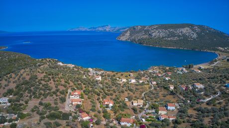 Αγροτεμάχια 20.605 τ.μ. για πώληση