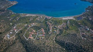 Αγροτεμάχια 11.674 τ.μ. προς πώληση, Αχλαδίτσα-thumb-9