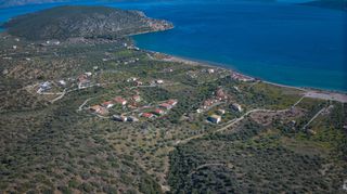 Αγροτεμάχια 11.674 τ.μ. προς πώληση, Αχλαδίτσα-thumb-14