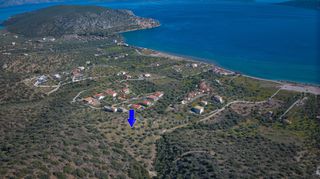 Αγροτεμάχια 11.674 τ.μ. προς πώληση, Αχλαδίτσα-thumb-3