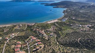 Αγροτεμάχια 11.674 τ.μ. προς πώληση, Αχλαδίτσα-thumb-2