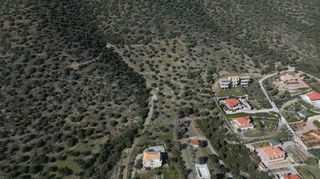 Αγροτεμάχια 11.674 τ.μ. προς πώληση, Αχλαδίτσα-thumb-5