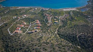 Αγροτεμάχια 11.674 τ.μ. προς πώληση, Αχλαδίτσα-thumb-12