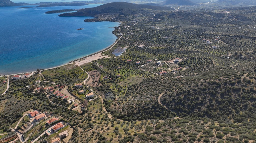Αγροτεμάχια 11.674 τ.μ. προς πώληση, Αχλαδίτσα