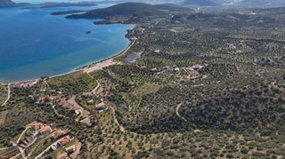 Αγροτεμάχια 11.674 τ.μ. προς πώληση, Αχλαδίτσα-thumb-4