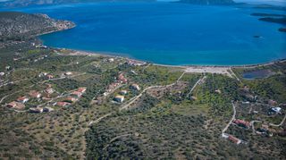 Αγροτεμάχια 11.674 τ.μ. προς πώληση, Αχλαδίτσα-thumb-13