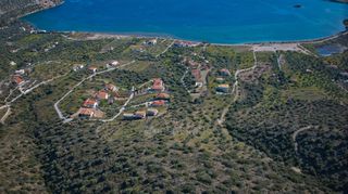 Αγροτεμάχια 11.674 τ.μ. προς πώληση, Αχλαδίτσα-thumb-7