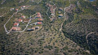 Αγροτεμάχια 11.674 τ.μ. προς πώληση, Αχλαδίτσα-thumb-10