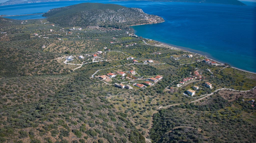 Αγροτεμάχια 11.674 τ.μ. προς πώληση, Αχλαδίτσα