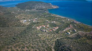 Αγροτεμάχια 11.674 τ.μ. για πώληση
