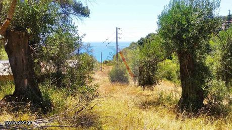 Land plot 5.000sqm for sale-Corfu » Pareli