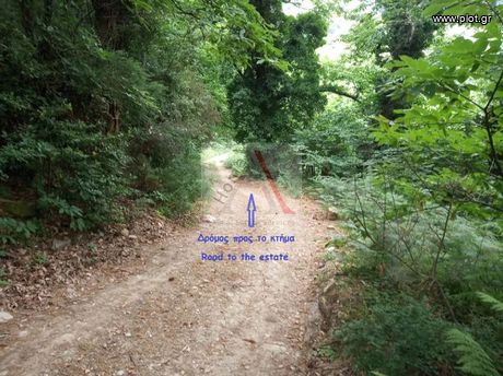 Land plot 4.270sqm for sale-Mouresi » Ntamouchari