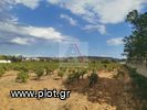 Land plot 2.000sqm for sale-Paiania » Argithea