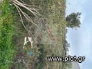 Land plot 267sqm for sale-Spata » Center