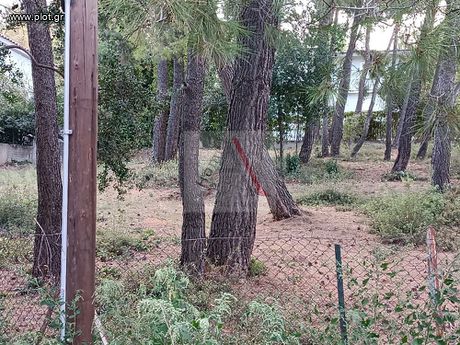 Land plot 1.140sqm for sale-Ekali