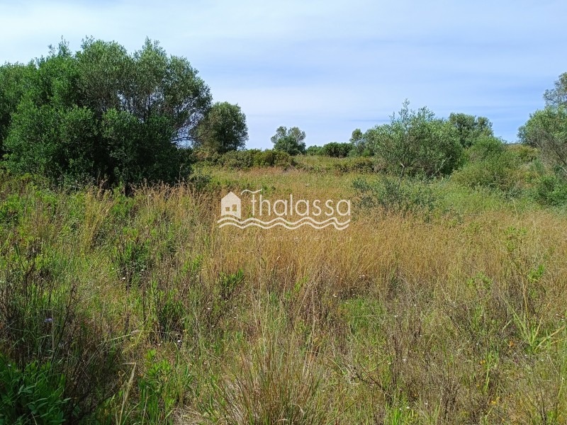 Οικόπεδο 3.273 τ.μ. προς πώληση, Λειβαθώ