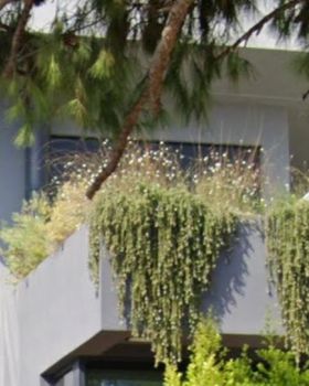 Μεζονέτα 257τ.μ. για πώληση-Βούλα » Πανόραμα