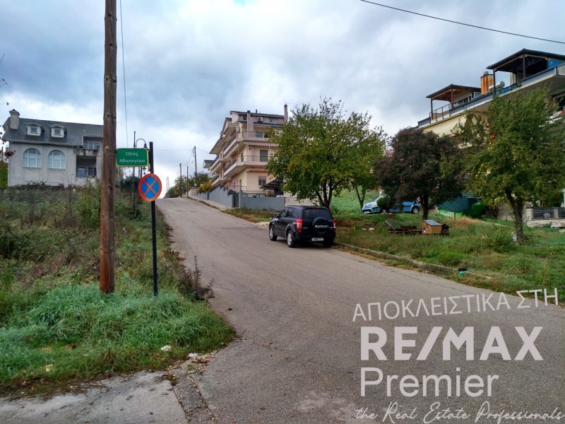 Αγροτεμάχια 677 τ.μ. πρός πώληση, Ν. Ιωαννίνων, Ανατολή