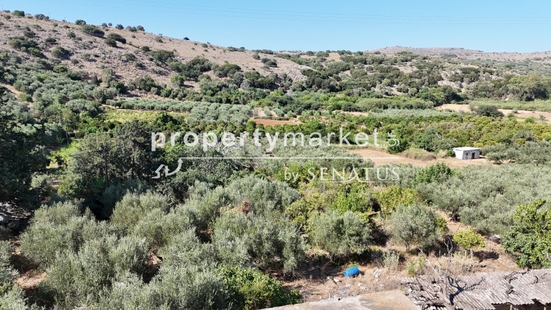 Οικόπεδο 4.437 τ.μ. προς πώληση, Στύλος