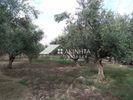 Parcel 6.000sqm for sale-Maroneia » Proskinites