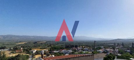 Μονοκατοικία 80τ.μ. για πώληση-Γορτύνα » Αμπελούζος