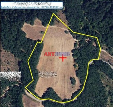 Parcel 49.540 sqm for sale, Chalkidiki, Arnaia