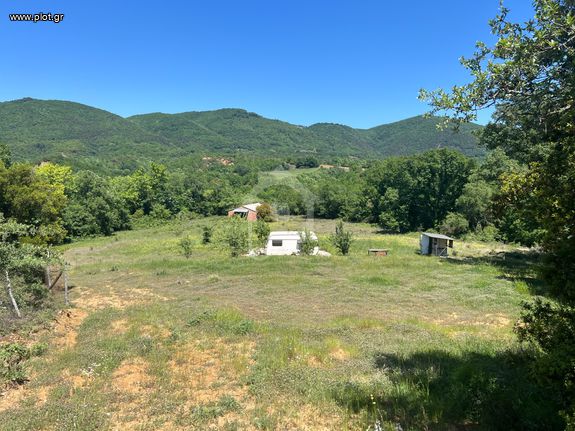 Αγροτεμάχια 10.850 τ.μ. για πώληση, Χαλκιδική, Παναγιά