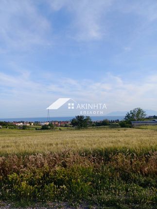 Parcel 10.000 sqm for sale, Evros, Alexandroupoli